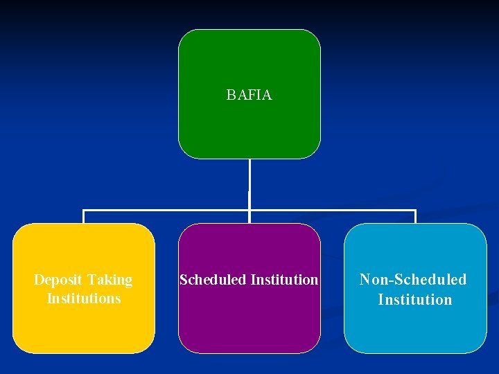 BAFIA Deposit Taking Institutions Scheduled Institution Non-Scheduled Institution 