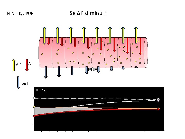 Se ΔP diminui? FPN = Kf. PUF Δπ ΔP PUF puf mm. Hg 