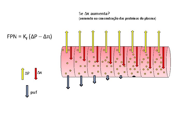 Se Δπ aumenta? (aumento na concentração das proteínas do plasma) FPN = Kf (ΔP