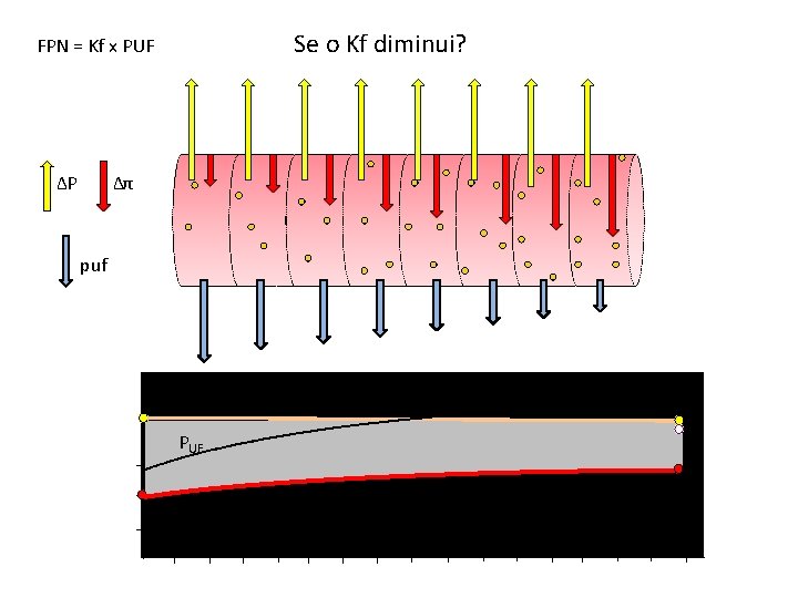 Se o Kf diminui? FPN = Kf x PUF ΔP Δπ puf mm. Hg