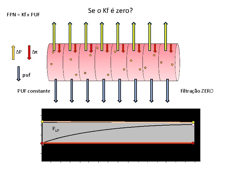 Se o Kf é zero? FPN = Kf x PUF ΔP Δπ puf PUF