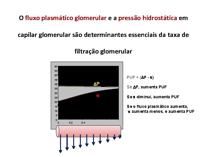 O fluxo plasmático glomerular e a pressão hidrostática em capilar glomerular são determinantes essenciais