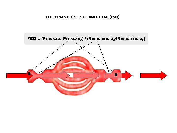 FLUXO SANGUÍNEO GLOMERULAR (FSG) FSG = (Pressãoa-Pressãoe) / (Resistênciaa+Resistênciae) 