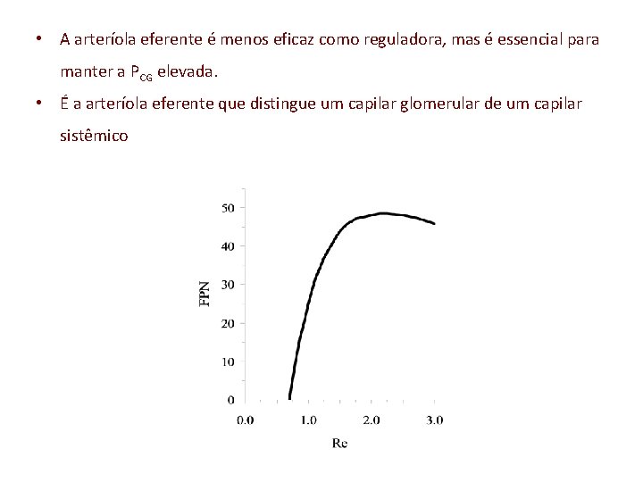  • A arteríola eferente é menos eficaz como reguladora, mas é essencial para