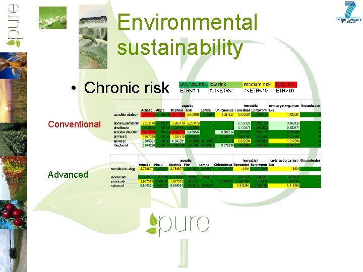 Environmental sustainability • Chronic risk Conventional Advanced Speaker's name Meeting and date 