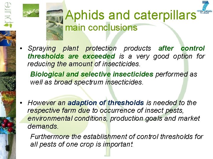 Aphids and caterpillars main conclusions • Spraying plant protection products after control thresholds are
