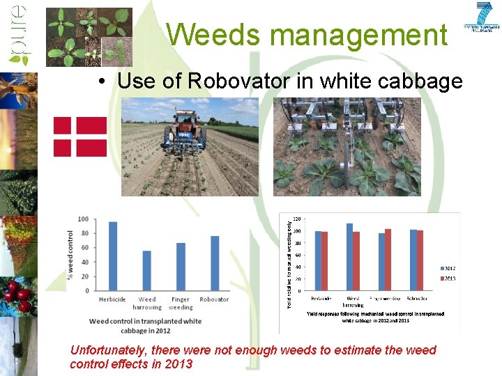 Weeds management • Use of Robovator in white cabbage Speaker's name Unfortunately, there were