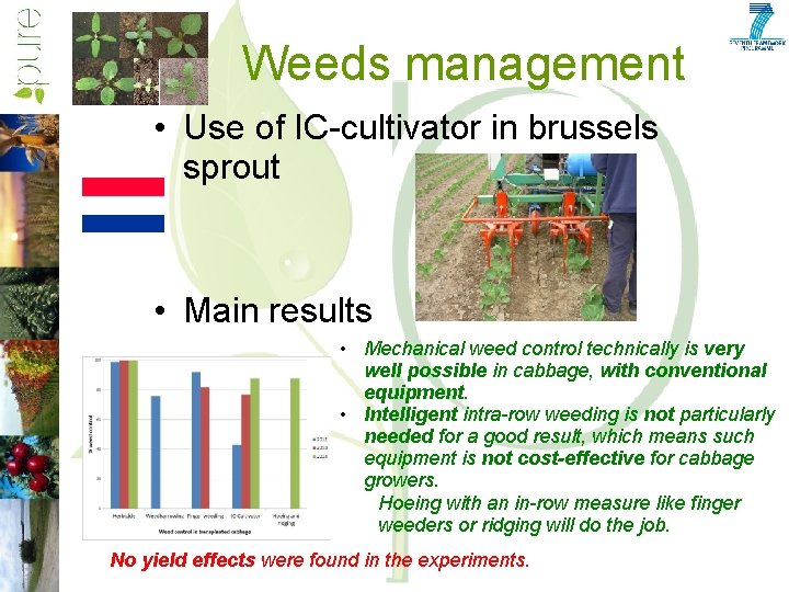 Weeds management • Use of IC-cultivator in brussels sprout • Main results • Mechanical