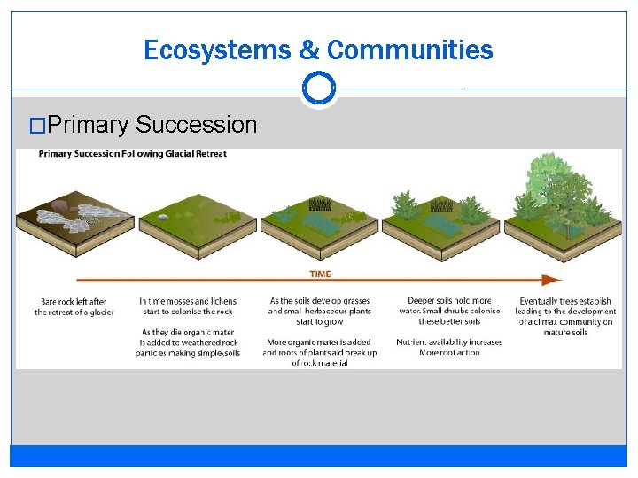 Ecosystems & Communities �Primary Succession 