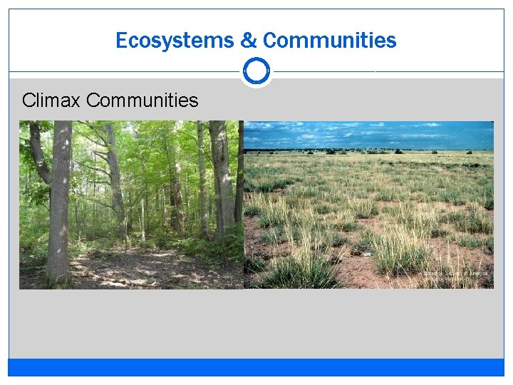 Ecosystems & Communities Climax Communities 
