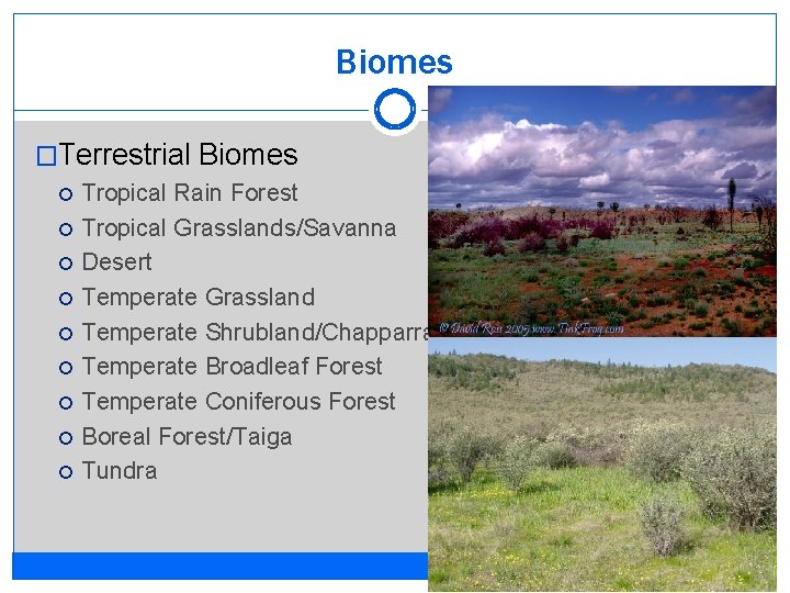 Biomes �Terrestrial Biomes Tropical Rain Forest Tropical Grasslands/Savanna Desert Temperate Grassland Temperate Shrubland/Chapparral Temperate