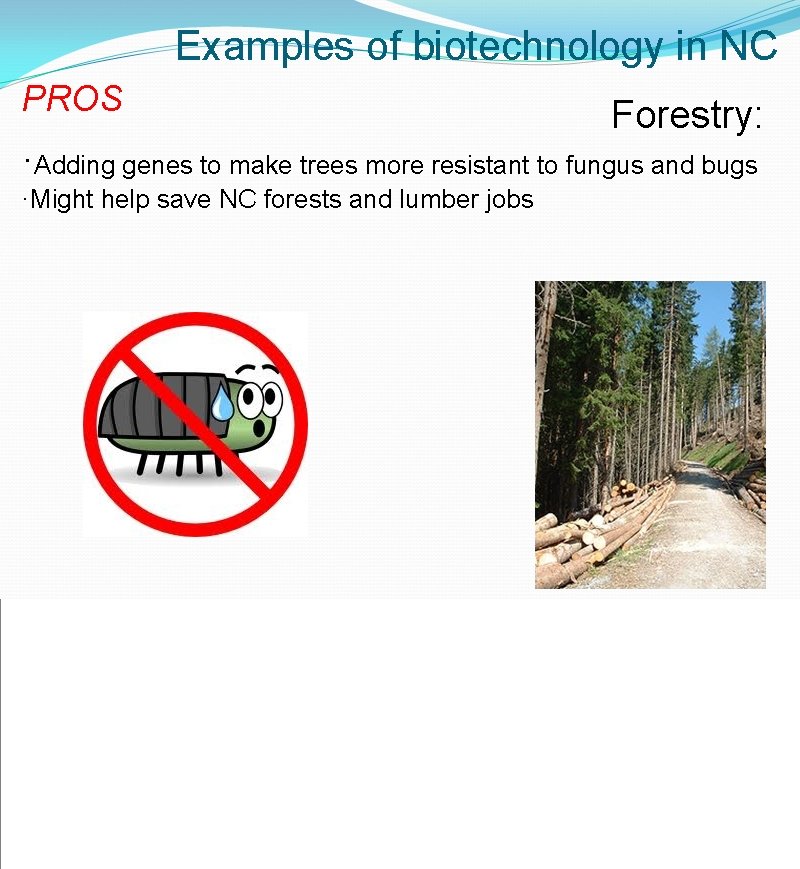 Examples of biotechnology in NC PROS Forestry: ·Adding genes to make trees more resistant