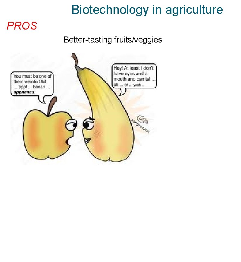 Biotechnology in agriculture PROS Better-tasting fruits/veggies 