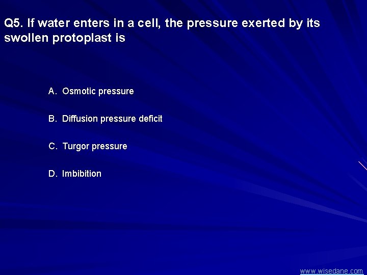 Q 5. If water enters in a cell, the pressure exerted by its swollen