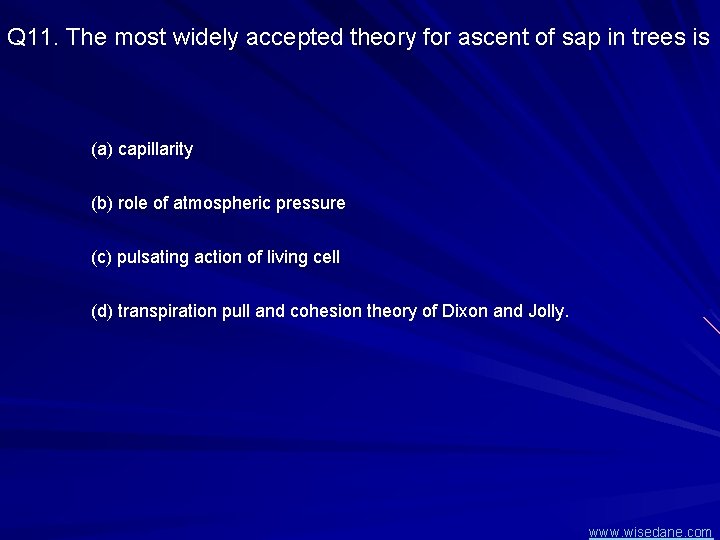 Q 11. The most widely accepted theory for ascent of sap in trees is