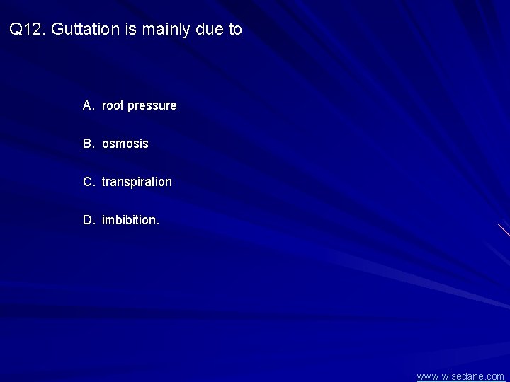 Q 12. Guttation is mainly due to A. root pressure B. osmosis C. transpiration