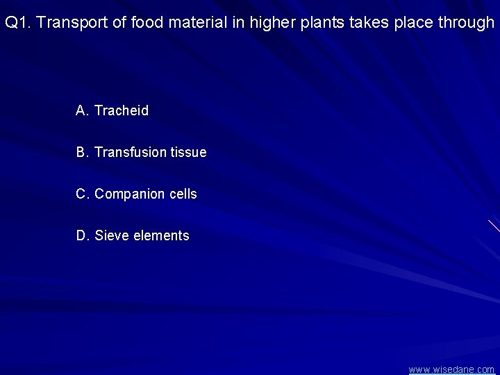 Q 1. Transport of food material in higher plants takes place through A. Tracheid