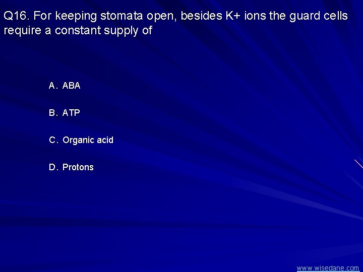 Q 16. For keeping stomata open, besides K+ ions the guard cells require a