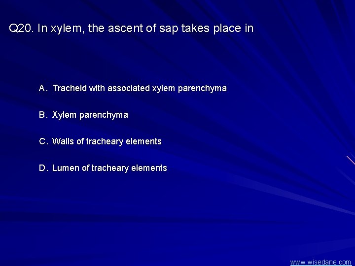 Q 20. In xylem, the ascent of sap takes place in A. Tracheid with