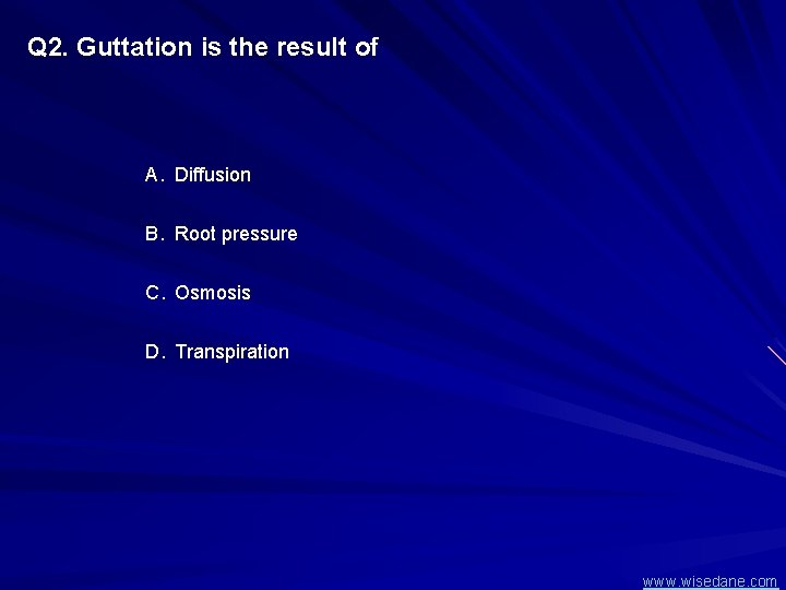 Q 2. Guttation is the result of A. Diffusion B. Root pressure C. Osmosis