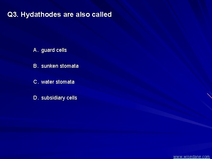Q 3. Hydathodes are also called A. guard cells B. sunken stomata C. water