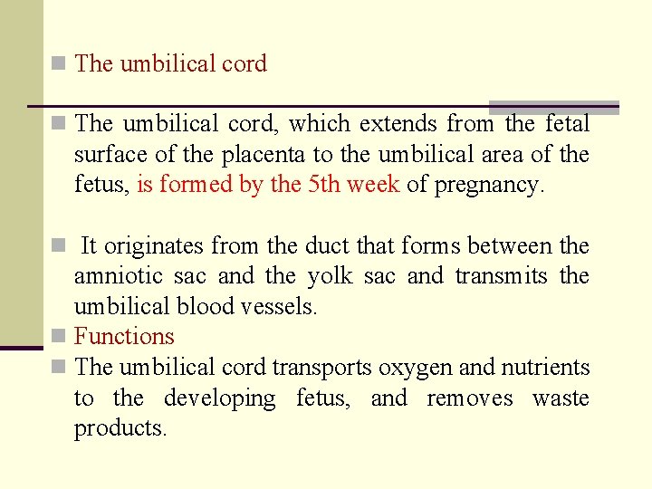 n The umbilical cord, which extends from the fetal surface of the placenta to
