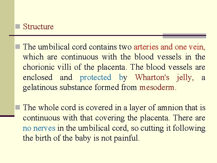 n Structure n The umbilical cord contains two arteries and one vein, which are