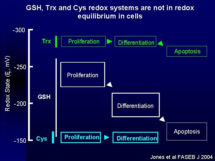 GSH, Trx and Cys redox systems are not in redox equilibrium in cells -300