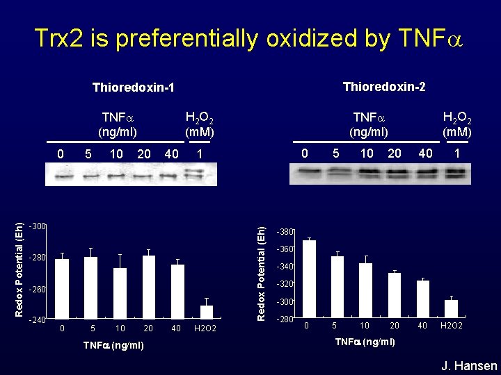 Trx 2 is preferentially oxidized by TNF Thioredoxin-2 Thioredoxin-1 H 2 O 2 (m.