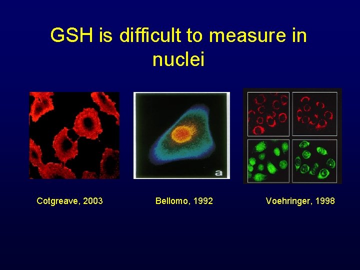 GSH is difficult to measure in nuclei Cotgreave, 2003 Bellomo, 1992 Voehringer, 1998 