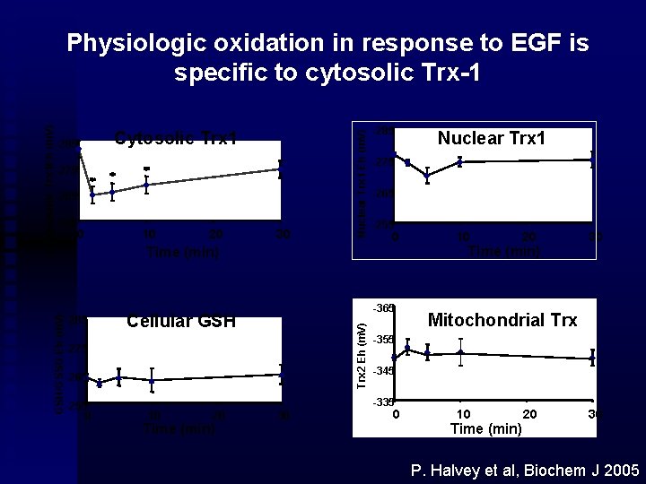 Cytosolic Trx 1 -275 -265 -255 0 10 20 30 Nuclear Trx 1 Eh