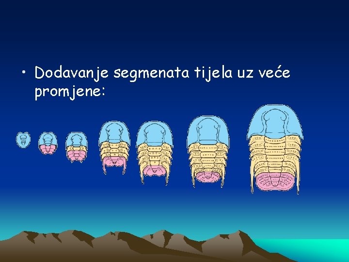  • Dodavanje segmenata tijela uz veće promjene: 