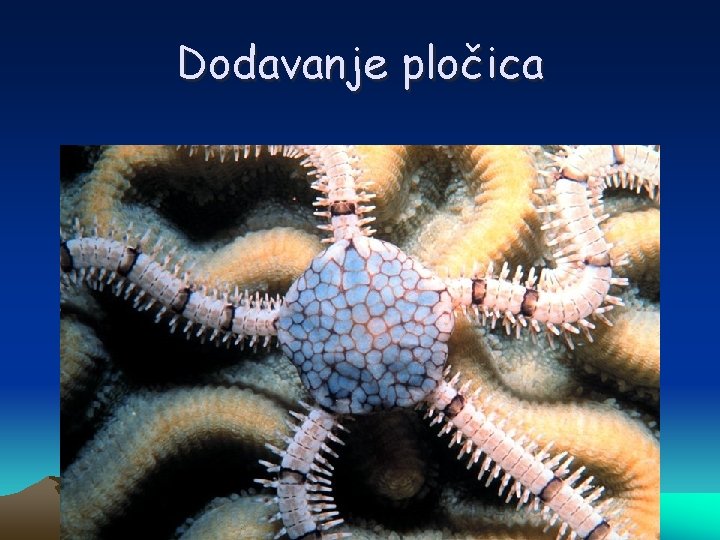 Dodavanje pločica 