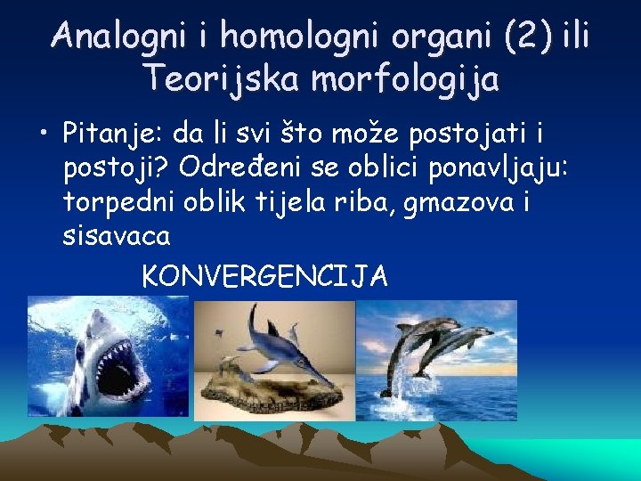 Analogni i homologni organi (2) ili Teorijska morfologija • Pitanje: da li svi što