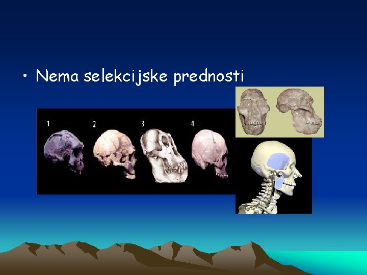  • Nema selekcijske prednosti 