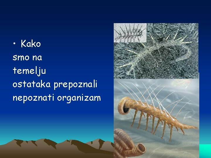  • Kako smo na temelju ostataka prepoznali nepoznati organizam 