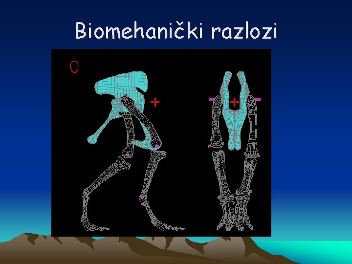 Biomehanički razlozi 