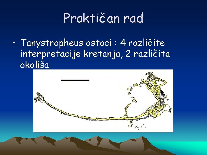 Praktičan rad • Tanystropheus ostaci : 4 različite interpretacije kretanja, 2 različita okoliša 