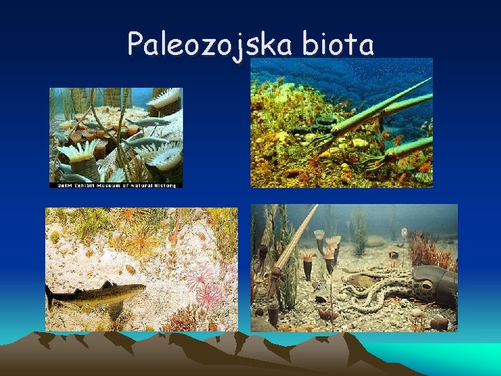 Paleozojska biota 