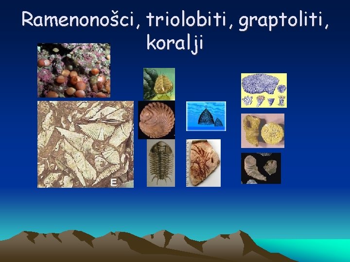 Ramenonošci, triolobiti, graptoliti, koralji 