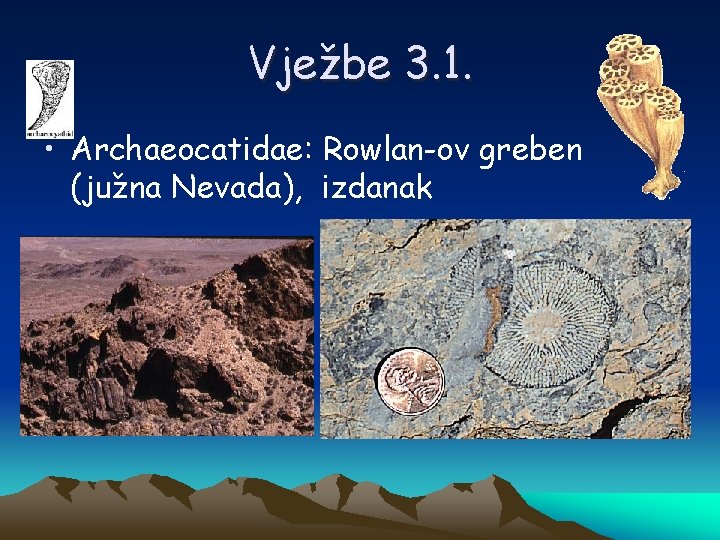 Vježbe 3. 1. • Archaeocatidae: Rowlan-ov greben (južna Nevada), izdanak 