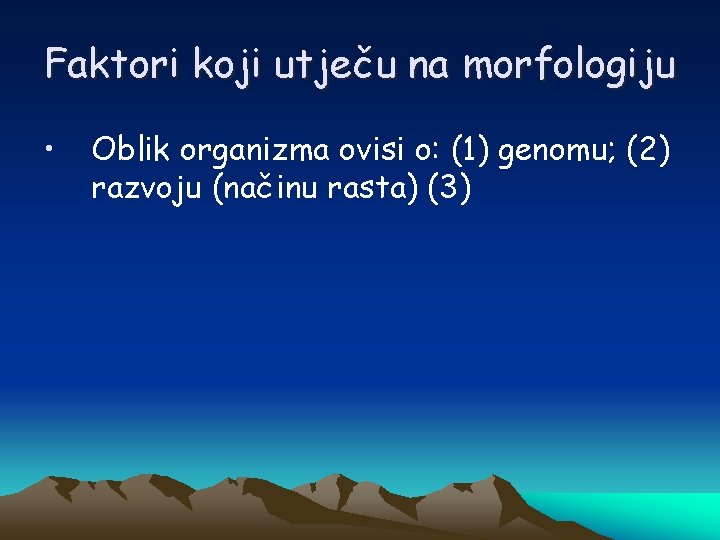 Faktori koji utječu na morfologiju • Oblik organizma ovisi o: (1) genomu; (2) razvoju