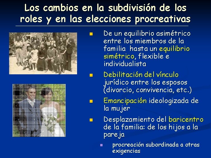 Los cambios en la subdivisión de los roles y en las elecciones procreativas De