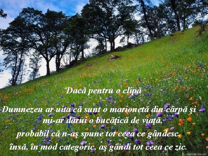 “Dacă pentru o clipă Dumnezeu ar uita că sunt o marionetă din cârpă şi