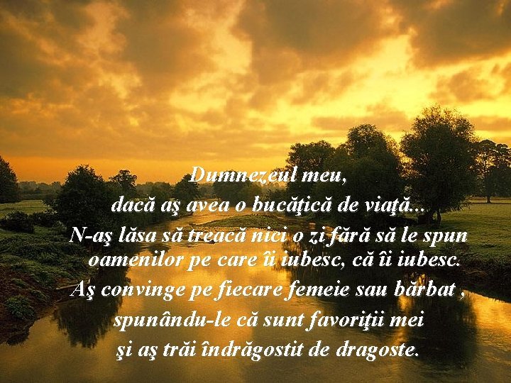 Dumnezeul meu, dacă aş avea o bucăţică de viaţă. . . N-aş lăsa să
