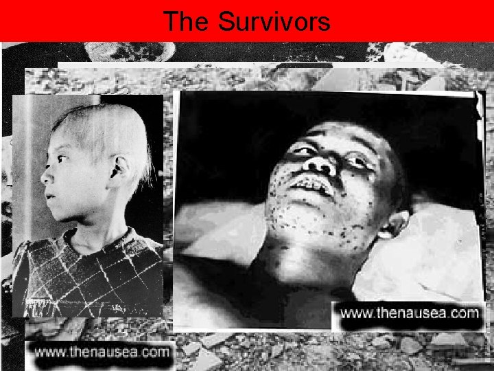 The Survivors 