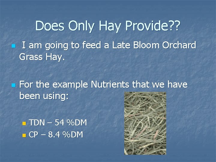 Does Only Hay Provide? ? n n I am going to feed a Late