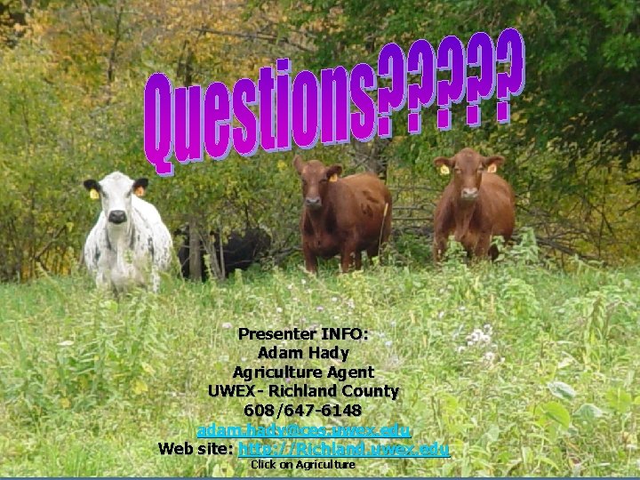 Questions ? ? ? Presenter INFO: Adam Hady Agriculture Agent UWEX- Richland County 608/647