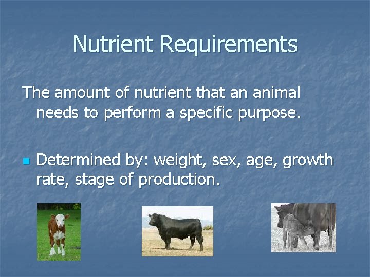 Nutrient Requirements The amount of nutrient that an animal needs to perform a specific