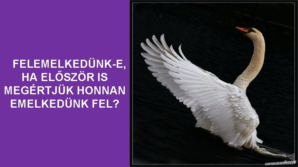 FELEMELKEDÜNK-E, HA ELŐSZÖR IS MEGÉRTJÜK HONNAN EMELKEDÜNK FEL? FELEMELKEDÜNK-E, HA ELŐSZÖR IS MEGÉRTJÜK HONNAN EMELKEDÜNK FEL?